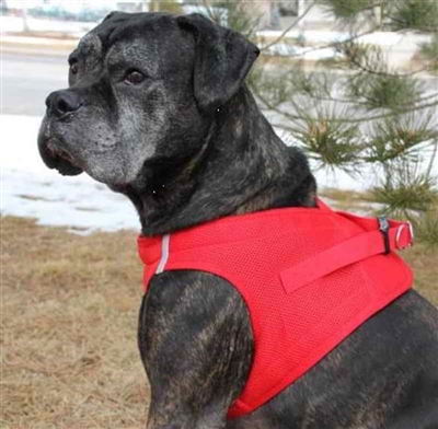 American River Solid Ultra Choke-Free Mesh Dog Harness