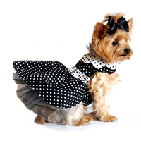 Black and White Polka Dot Dog Dress with Matching Leash - XSm-LG