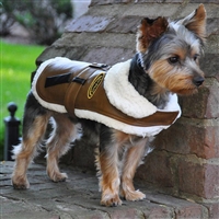 Bomber Dog Coat Harness & Leash Size 3-90#