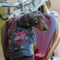 Born To Ride  Biker Dawg Motorcycle Dog Harness -Size 3-90#