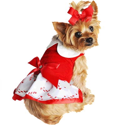 Holiday Dog Harness Dress - Candy Canes XS-LG