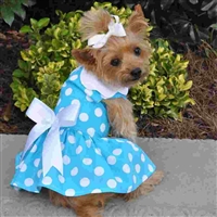 Blue Polka Dot Dog Dress with Matching Leash X-Sm-Large