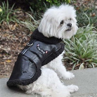 Dog Flight Jacket Harness Coat by Doggie Design Size 3-90#