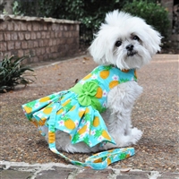 Pineapple Luau Dog Harness Dress with Matching Leash XSmall-Large