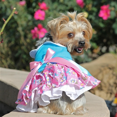 Pink and Blue Plumeria Floral Dog Dress XSmall-Large