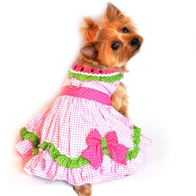 Watermelon Dog Harness Dress by Doggie Design with Matching Leash- XSm-Lg