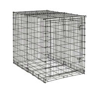 Dog Crate Midwest Big 54"