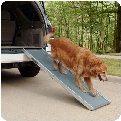 Dog ramp - Deluxe Telescoping & XLg Pet Ramp by Solvit